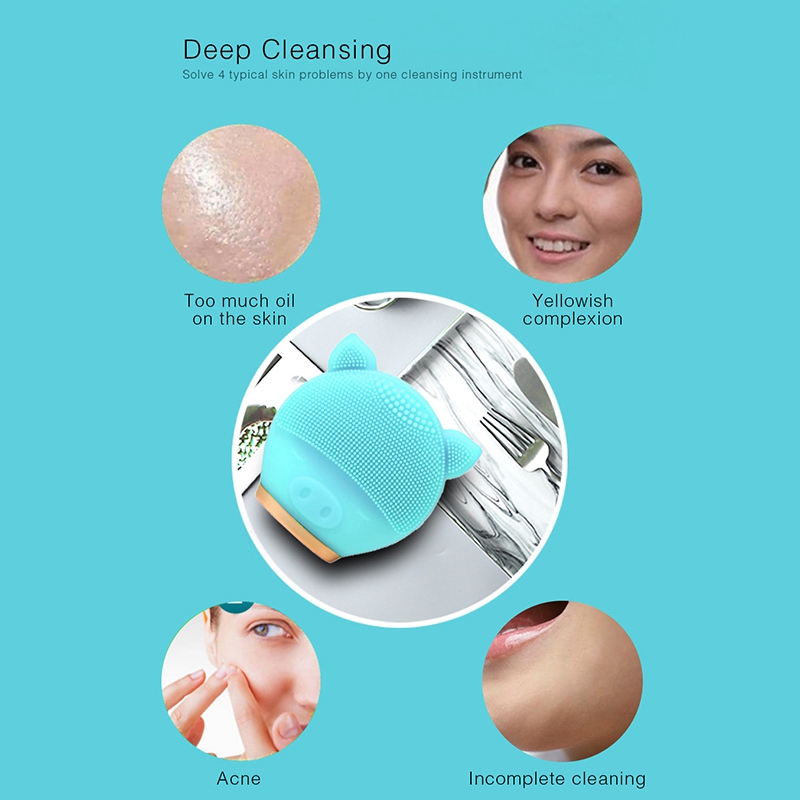 Ele-Silicone Facial Brush