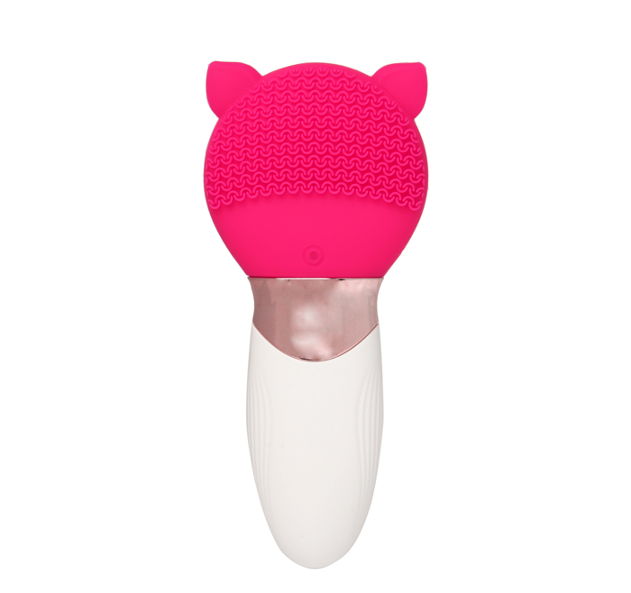 Silicone Facial Brush with long handle AE-616